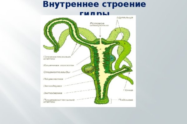 Kraken ссылки актуальные 2025 г